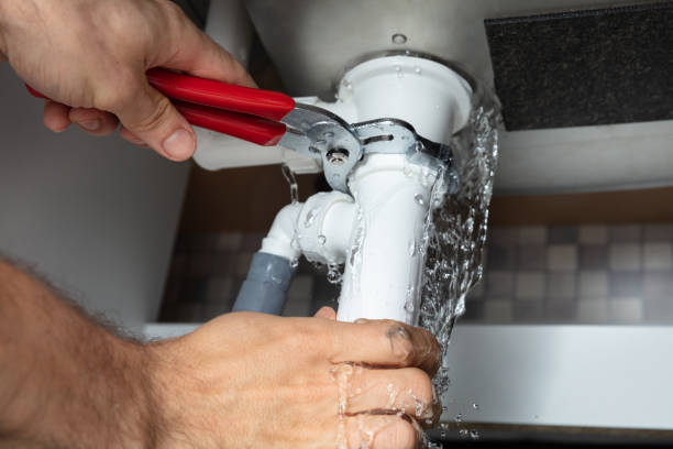 Best Fire Damage Restoration  in Lake Elmo, MN