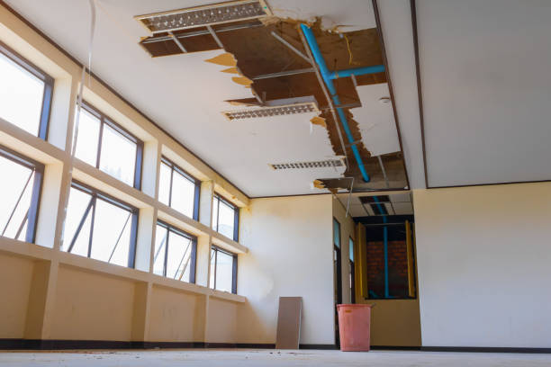 Best Water damage cleanup near me  in Lake Elmo, MN