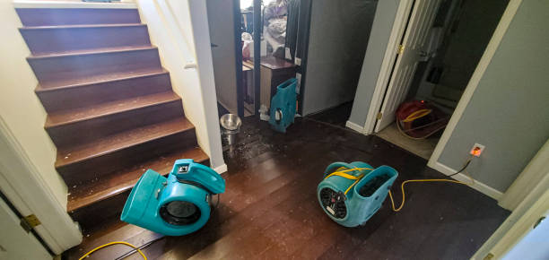 Best 24/7 water damage repair  in Lake Elmo, MN