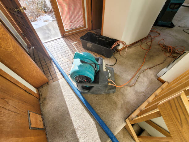 Best Water damage contractors near me  in Lake Elmo, MN