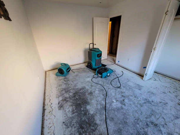 Best Fire Damage Restoration  in Lake Elmo, MN
