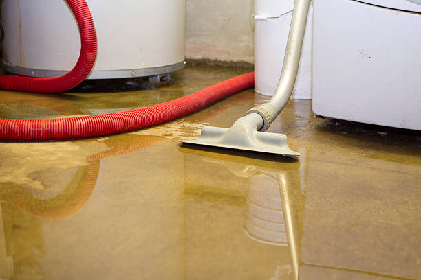 Best Water damage restoration experts  in Lake Elmo, MN