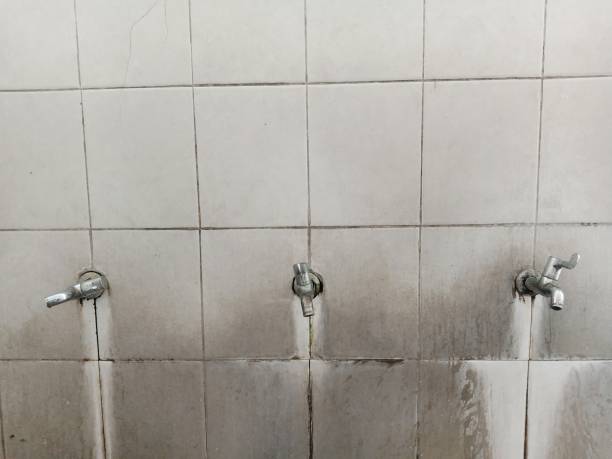 Best Water damage restoration near me  in Lake Elmo, MN