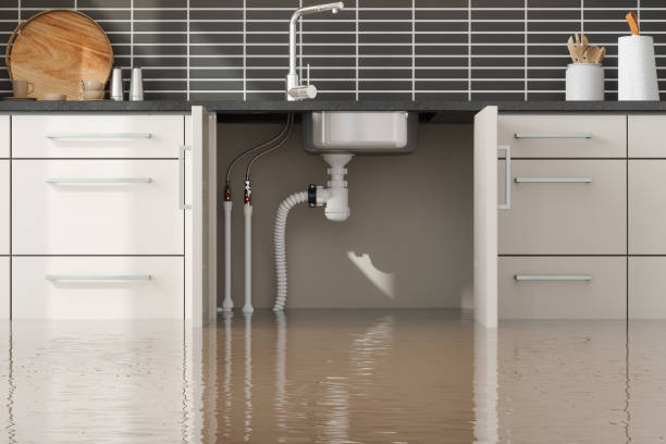 Best Professional water damage repair  in Lake Elmo, MN